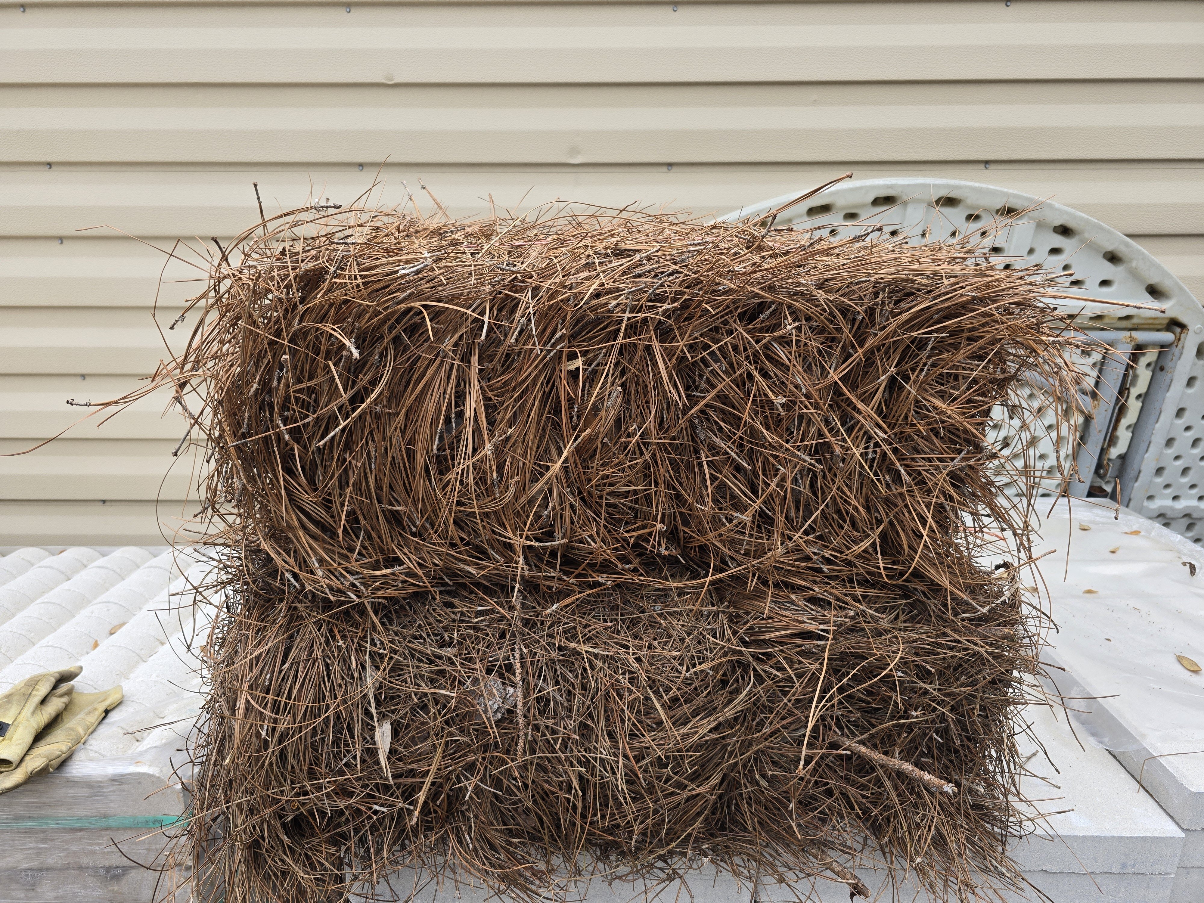 Bale of Longleaf on top of Slash pine straw.