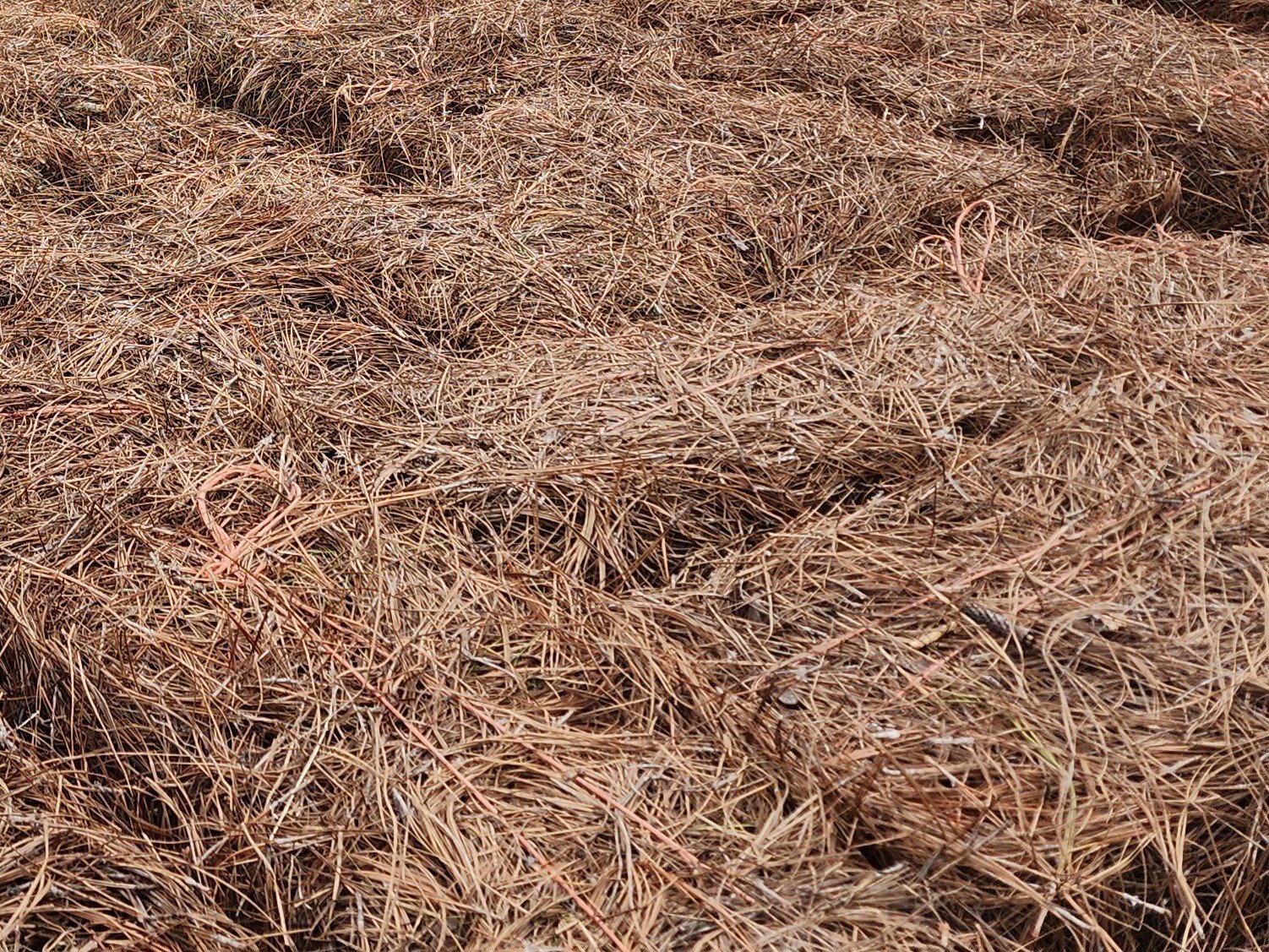 Closeup of a large stack of 